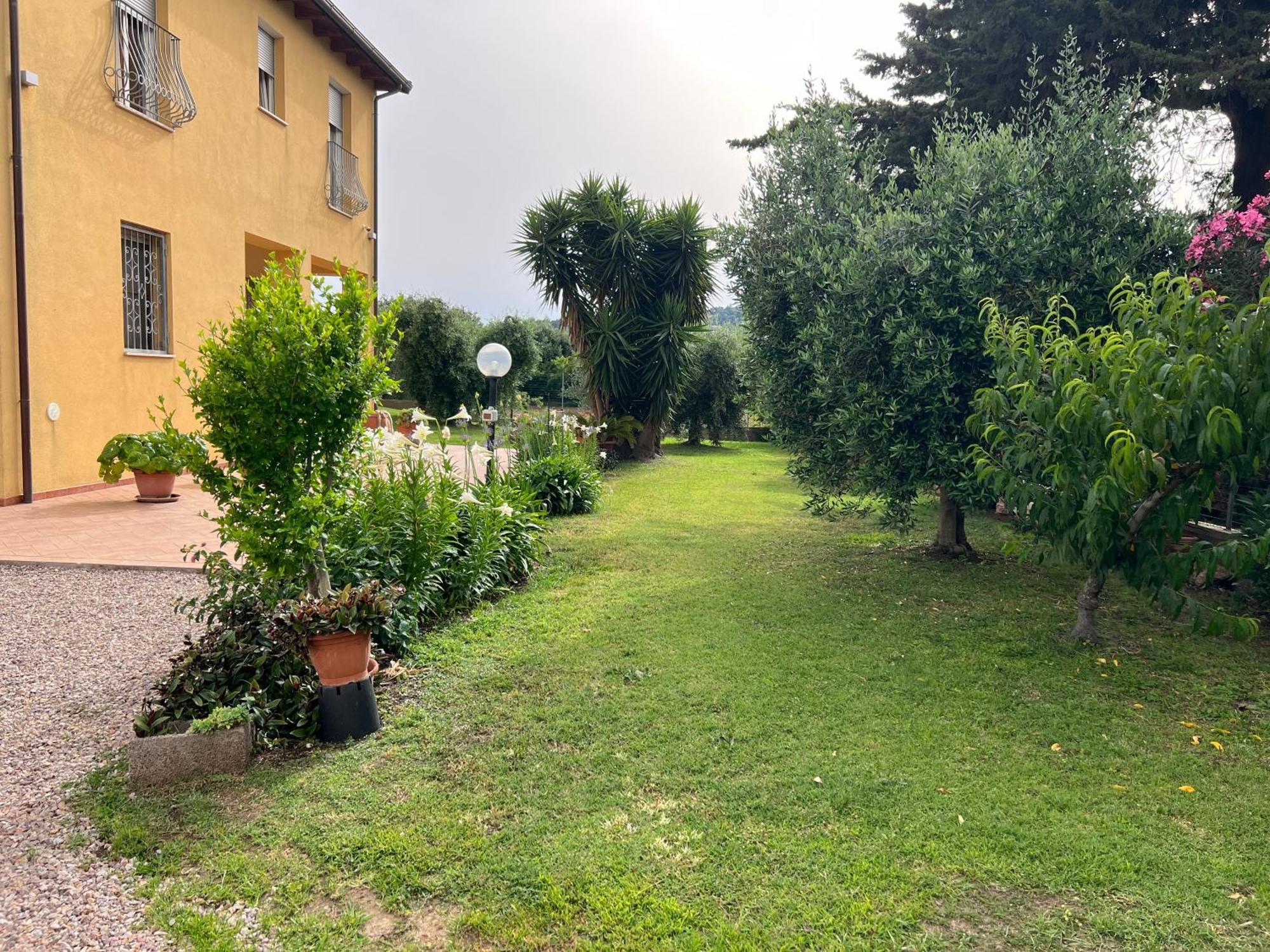 Agriturismo Il Giardino Degli Olivi Appartamenti Castiglione della Pescaia Exterior foto