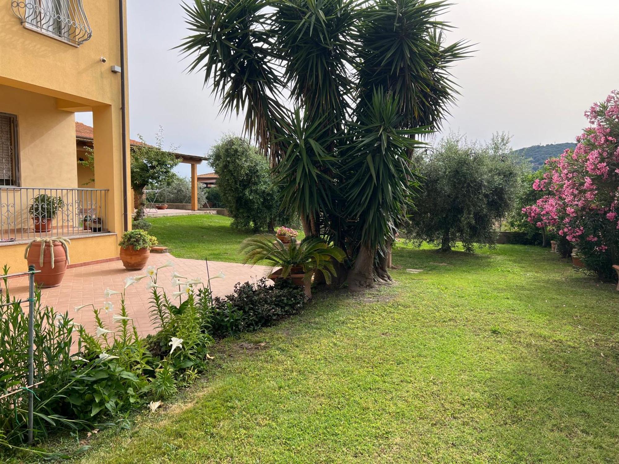 Agriturismo Il Giardino Degli Olivi Appartamenti Castiglione della Pescaia Exterior foto